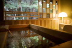 Japanese-Western Style Room with Open air bath