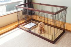 西館 【10畳】◆ペットと泊まれる和室◆禁煙