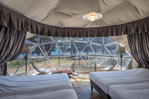 Lake View Dog Run Dome with 4 Beds [Pet-Friendly] Small dogs up to 2, medium to large dogs up to 1