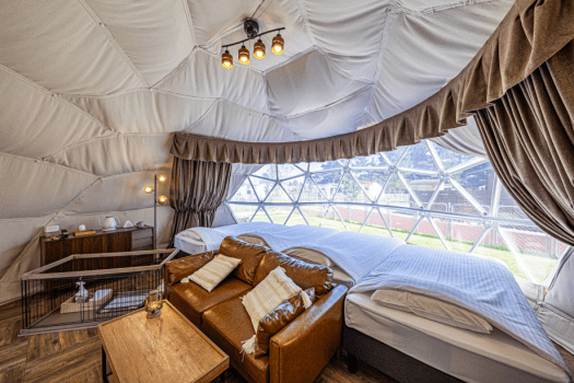 Dog Run Dome with 4 Beds [Pet-Friendly] Small dogs up to 2, medium to large dogs up to 1