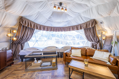 ドッグランドーム 4ベッド【ペット同伴可】※小型犬は２頭まで、中・大型犬は１頭まで