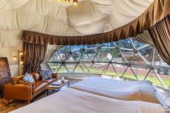 ドッグランドーム 2ベッド【ペット同伴可】※小型犬は２頭まで、中・大型犬は１頭まで