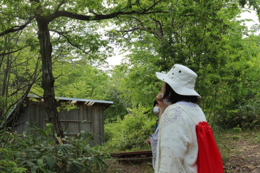 公園散策