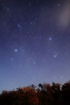 星と海のナイトパーク満喫プラン🍷🌛