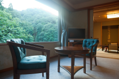 Western & Japanese-Style Room (Non-Smoking) Western & Japanese-Style Room (Non-Smoking)