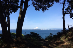 晴れて空気がきれいな日は富士山が見えます！