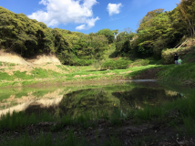 「ささやかな宿 富津」里山に囲まれた 58畳の大広間に泊まる！