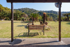 高台からの眺め