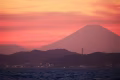 空気がきれいな日は富士山が見えます