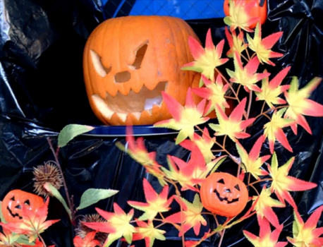 ★季節限定★ハロウィンプラン