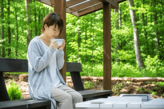 【朝食付き】澄んだ空気と朝の静けさに包まれる宿泊プラン