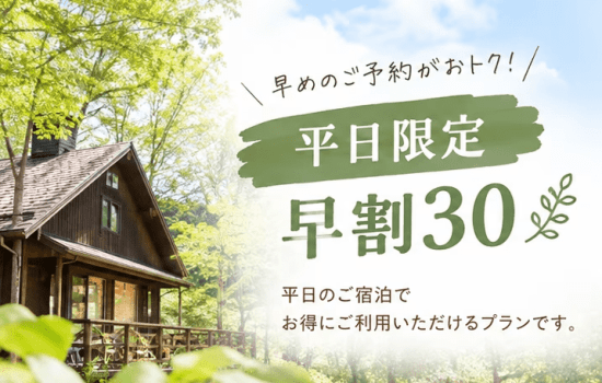 平日限定|早割30|ゆったり11時チェックアウトプラン 平日限定|早割30|ゆったり11時チェックアウトプラン