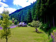 芝生のフリーサイトです 芝生のフリーサイトです