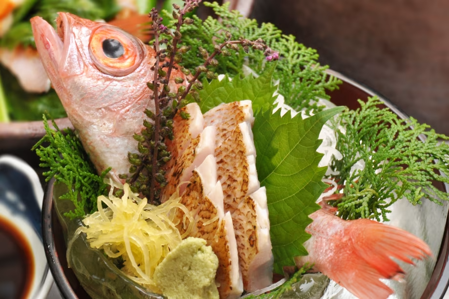 ノドグロの姿造り。加賀橋立港産の希少なノドグロを姿造りに。そのままお刺身でも、しゃぶしゃぶでもご賞味いただけます