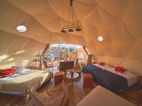 【FOREST DOME】