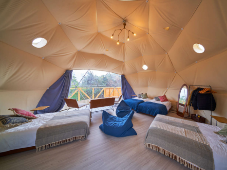 【FOREST DOME】