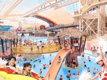 常夏気分を大いに味わおう☆彡