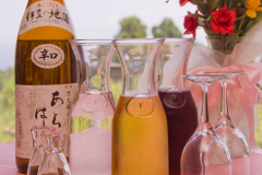 ワイン&地酒飲み放題 ワイン&地酒飲み放題