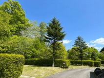 サイト内に車を1台停めて頂けます♪