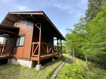 森から鳥のさえずりが聞こえます♪