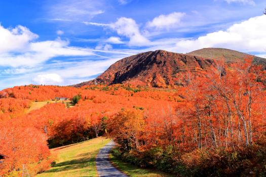 蔵王温泉の紅葉風景