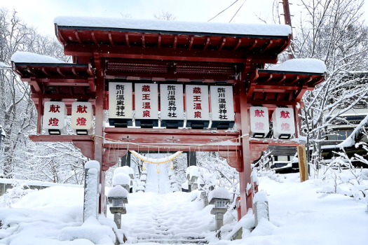 Winter advance sale - Room Only