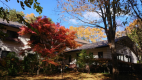 《一般のお客様》紅葉プラン　（２名様から）