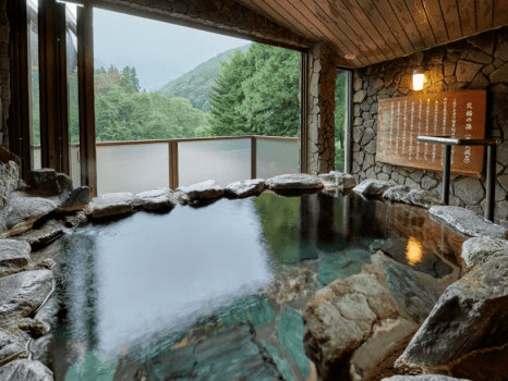 Japanese-style Room with Private Semi-Open-Air Hot Spring Bath and Mt. Tanigawa View (10 + 4.5 Tatami)