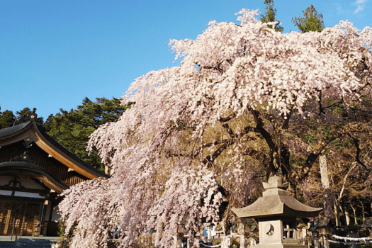 南湖公園（なんここうえん）＜福島県白河市＞