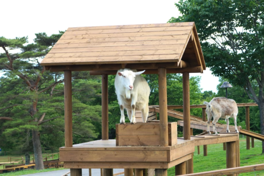 那須どうぶつ王国