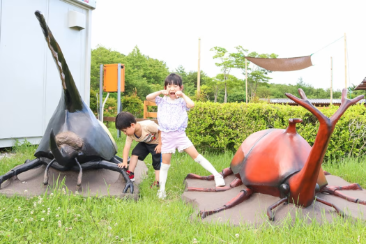 那須どうぶつ王国のカブトムシ王国