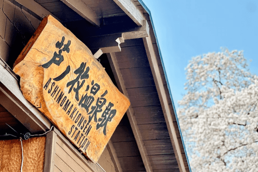 【ローカル線の駅旅】湯野上温泉駅・芦ノ牧温泉駅巡り半日バスツアー＜お食事はバイキング＞★公式HP予約で3大特典付★