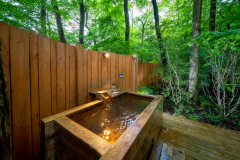 戸建てふくろうの森《天然温泉露天風呂付/洋室》 戸建てふくろうの森《天然温泉露天風呂付/洋室》