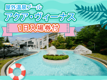 アクアヴィーナス入場券付き