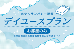 デイユース・お部屋のみ