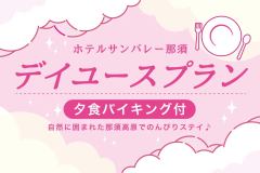 【夕食付】【日帰り旅を満喫】お部屋＆食事＆温泉でゆったり♪デイユース＜お部屋は最大9時間利用！＞