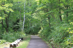 志賀高原の自然の中で日々の喧騒を忘れ、
新緑に包まれきれいな空気と、満点の星空でデトックス！！