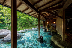 スタンダードプラン