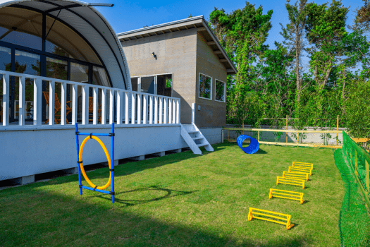 🐾ペット旅 🐾施設限定スペシャルプラン｜愛するペットと共有する、旅の喜び。REST GLAMPING