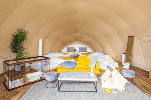 🐾ペット旅 🐾施設限定スペシャルプラン｜愛するペットと共有する、旅の喜び。REST GLAMPING