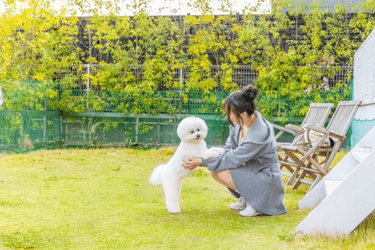 ■ドッグランコクーン■ペット可🐾＜44㎡＞-コクーンテント・プライベートドッグラン付-