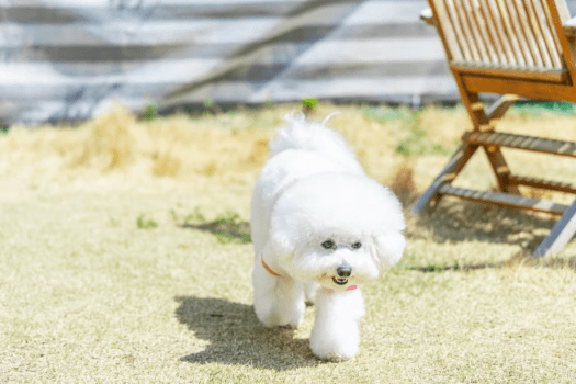 【創業感謝祭・第3弾】【3名からお得なグループ割|最大7,000円OFF】みんなで楽しむ秋のグランピング〈選べるお食事〉 【創業感謝祭・第3弾】【3名からお得なグループ割|最大7,000円OFF】みんなで楽しむ秋のグランピング〈選べるお食事〉