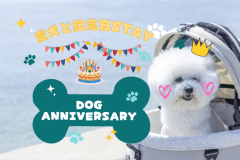 REST GLAMPING🐾ドッグAnniversaryプラン🐾大切な愛犬の記念日を祝う特別な日✨ワンちゃん用豪華特典付き♪わんこと一緒にお祝い旅【選べるお食事】