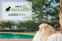 ≪いぬやど会員様限定！10％OFF≫愛犬とお得にラグジュアリーステイ～湖畔に佇む1日1棟限定のリゾートヴィラ～【ルームチャージ/素泊まり】