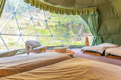 アクアドーム【4ベッド】