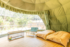 アクアドーム【DOG】ペット同伴OK