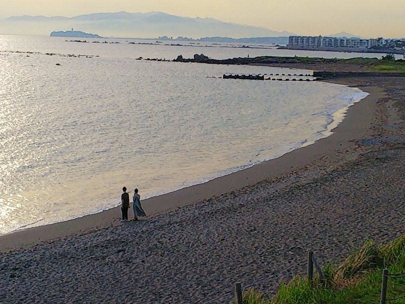 《一般》スペシャルプラン 富士