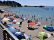 ネット予約限定 夏プラン （宴会場利用）