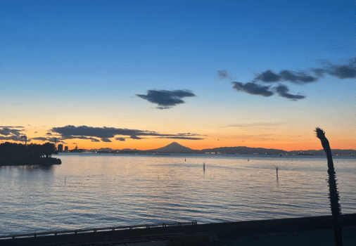 客室からの眺望