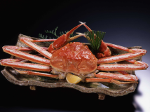 【ズワイ蟹姿1杯付き☆でこの価格!】冬の山陰蟹旅行ならコチラ♪日本海鮮魚5点盛りや大山豚蒸篭蒸など 【ズワイ蟹姿1杯付き☆でこの価格!】冬の山陰蟹旅行ならコチラ♪日本海鮮魚5点盛りや大山豚蒸篭蒸など